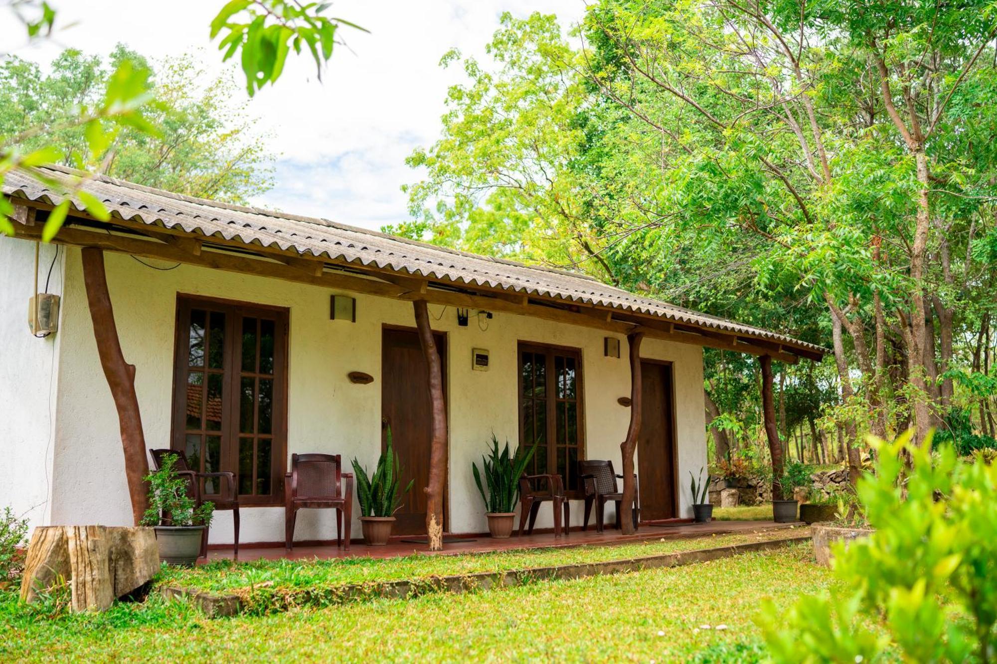 Bed and Breakfast Wild Hut Habarana Exterior foto