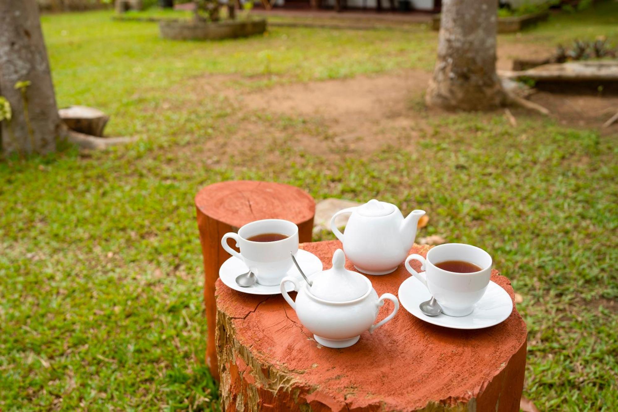 Bed and Breakfast Wild Hut Habarana Exterior foto